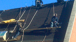 Roof Repair Contractors in St. Louis